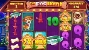 I am playing The Dog House Megaways Slot
