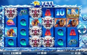 Image du jeu 9k Yeti