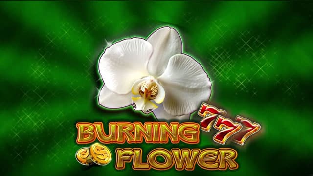 Burning Flower New Online Slot
